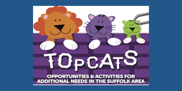 600 x 300 SEND provider logos - Topcats
